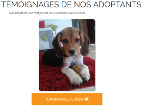 Témoignages adoptants chiens issus de laboratoires