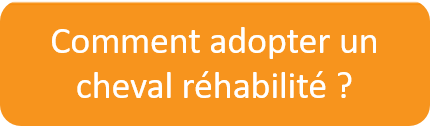 http://www.graal-defenseanimale.org/content/chevaux.php Adopter un cheval réhabilité