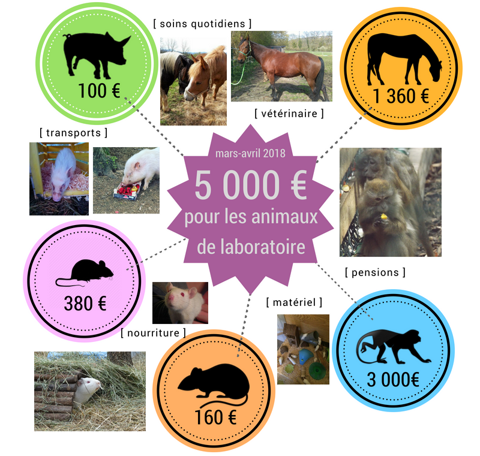 5000 euros pour les animaux de laboratoire