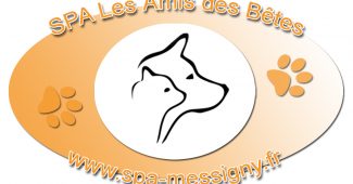 Logo SPA de Messigny