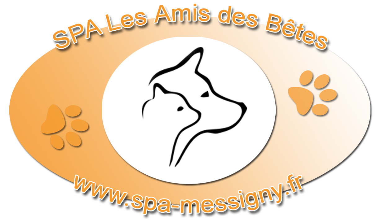 Logo SPA de Messigny