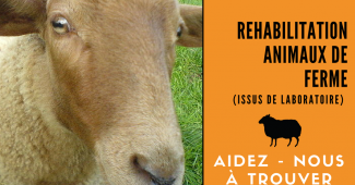 Réhabilitation animaux de ferme