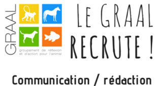 Recrutement GRAAL communication animaux de laboratoire