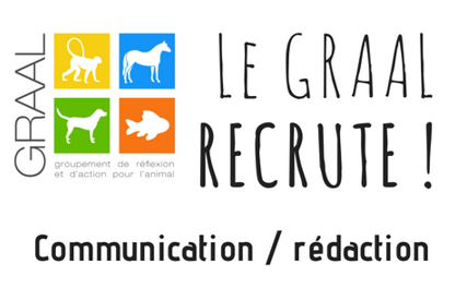Recrutement GRAAL communication animaux de laboratoire