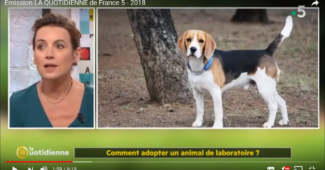 Emission La Quotidienne France 5 - Animaux de Laboratoire