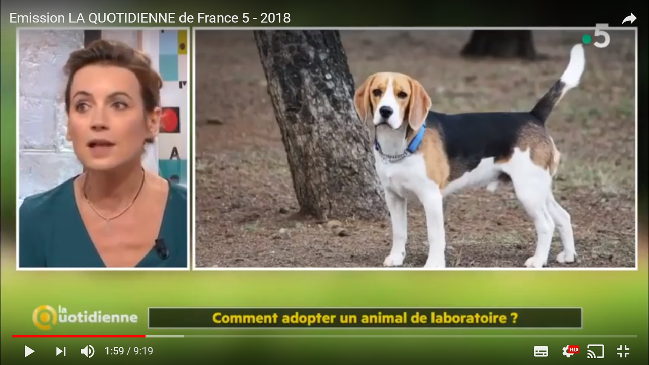 Emission La Quotidienne France 5 - Animaux de Laboratoire