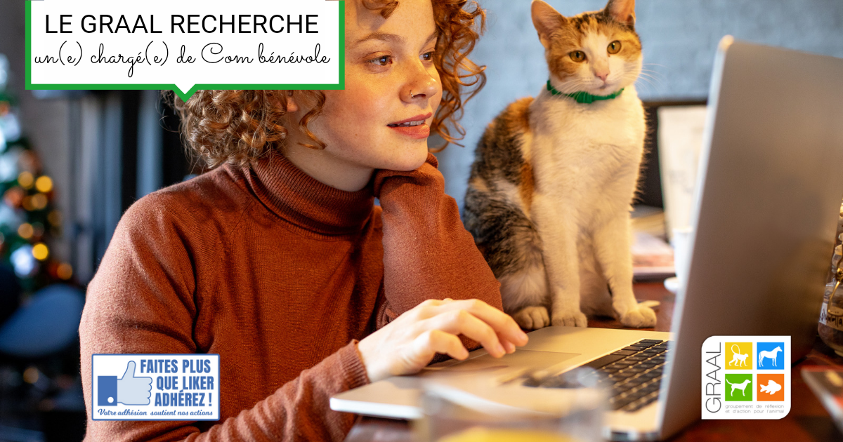 Le GRAAL recherche un chargé de communication bénévole