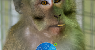 Roue de la solidarité Lilo x GRAAL