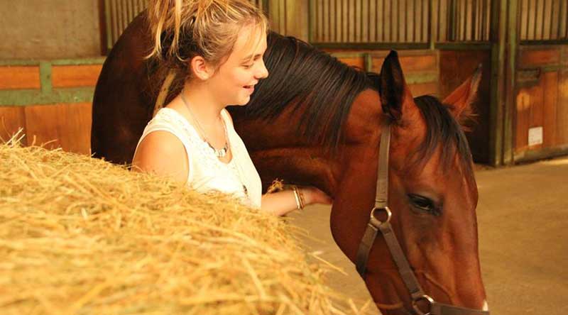 Benevole avec un cheval réhabilité