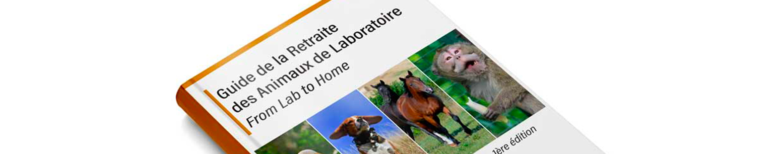 Opération Flying Ears